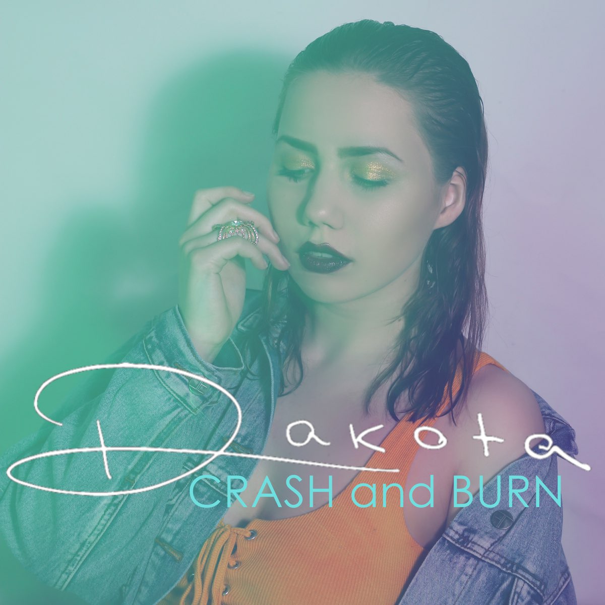 Apple Music 上Dakota的专辑Crash and Burn Single