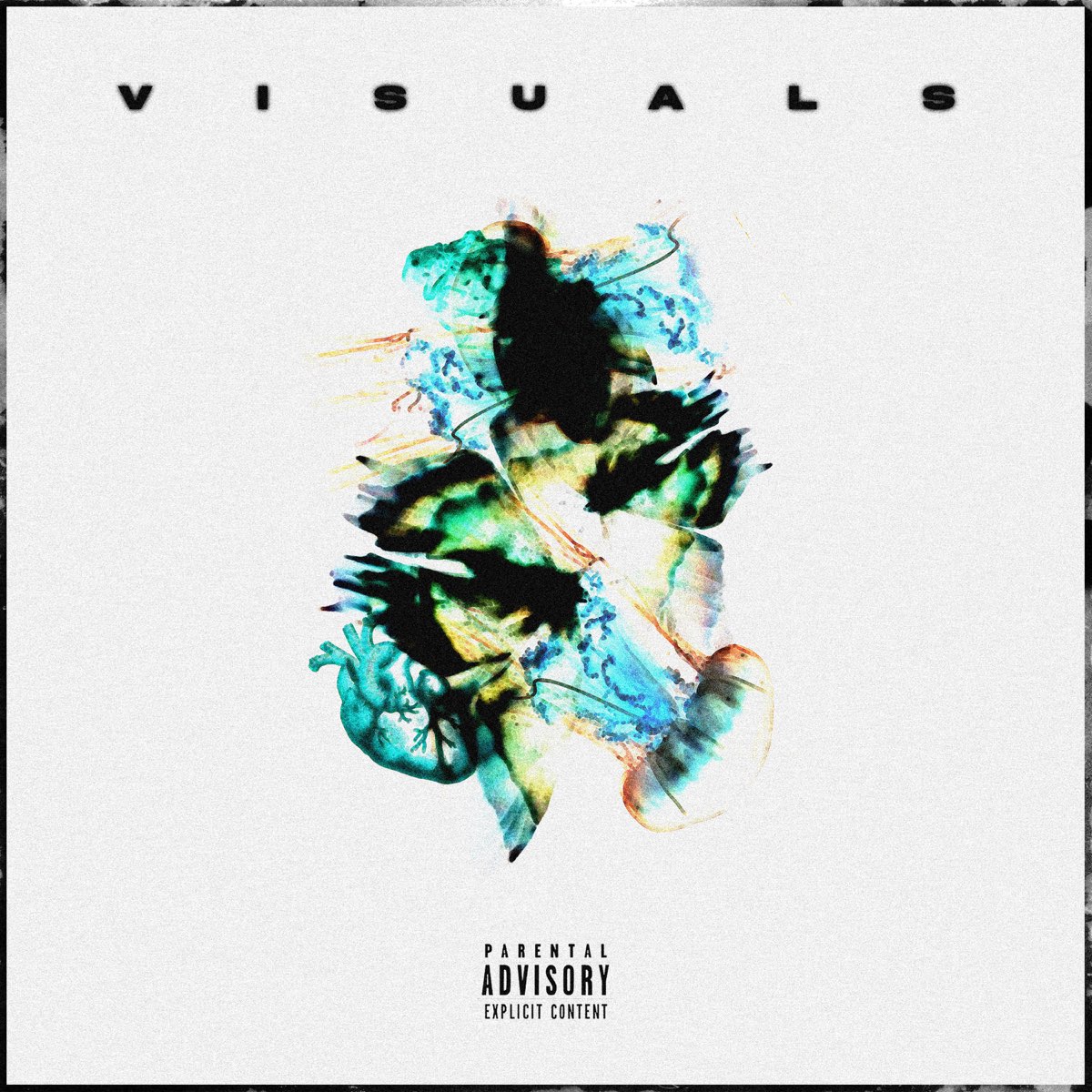 VISUALS Single By Norm On Apple Music