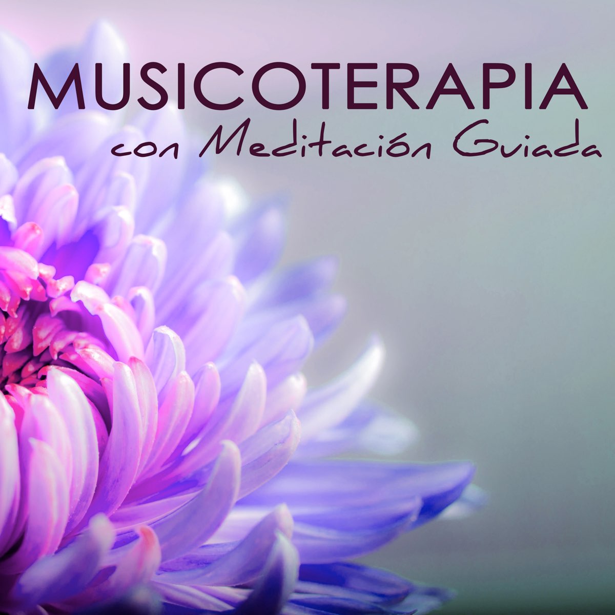 Musicoterapia Con Meditaci N Guiada M Sica Relajante Y Voz Con