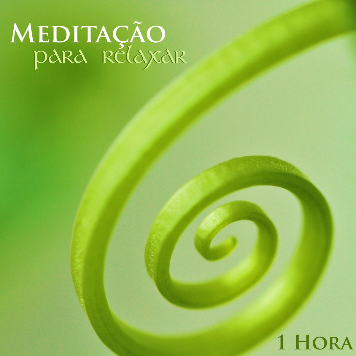 Meditação para Relaxar 1 Hora de Musicas Relaxantes Instrumentais