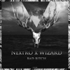 Bad Bitch - Single - Nextro & Wizard