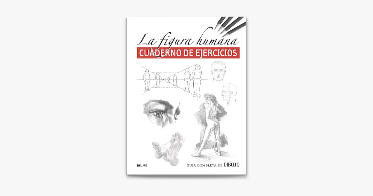 Guía completa de dibujo La figura humana cuaderno ejercicios en