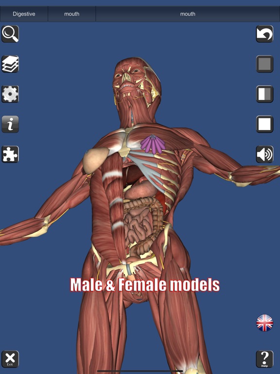 【ios app】3d anatomy 立体人体解剖学