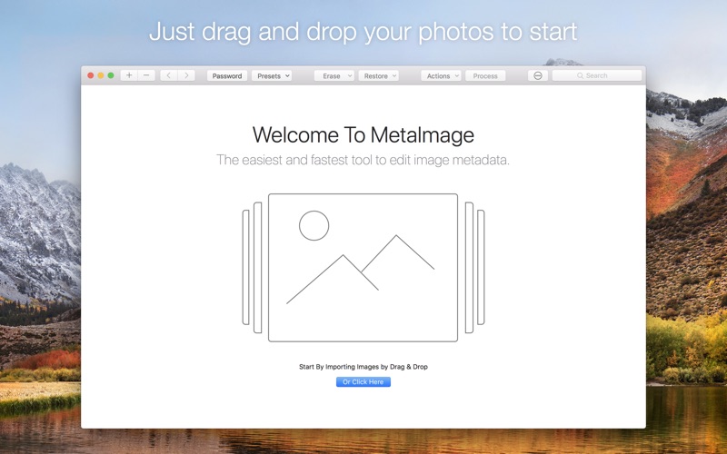 MetaImage.app caprure 1 1_MetaImage.jpg