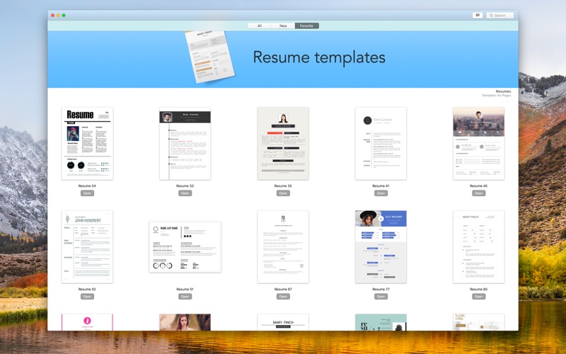 Resume_DesiGN_Templates.app caprure 5 5_Resume_DesiGN_Templates.jpg