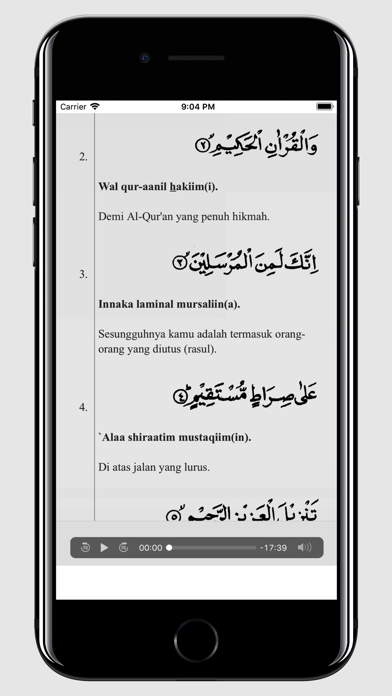 surat yasin dan terjemah