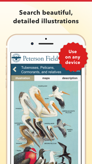 ‎Peterson Bird Field Guide Screenshot