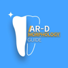 AR-D Morphology - nGarden