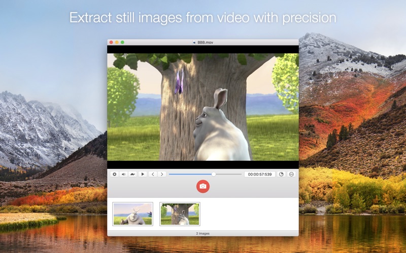 SnapMotion.app caprure 1 1_SnapMotion.jpg