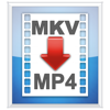 MKV2MP4