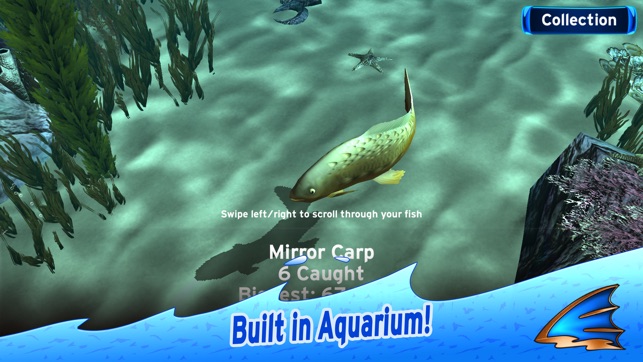 ‎Flick Fishing Screenshot