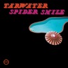 Tarwater - Shirley Temple