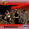 オリジナル曲｜Salsoneses