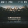 Mumford & Sons - The Wolf