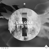 Syn Cole - It’s You