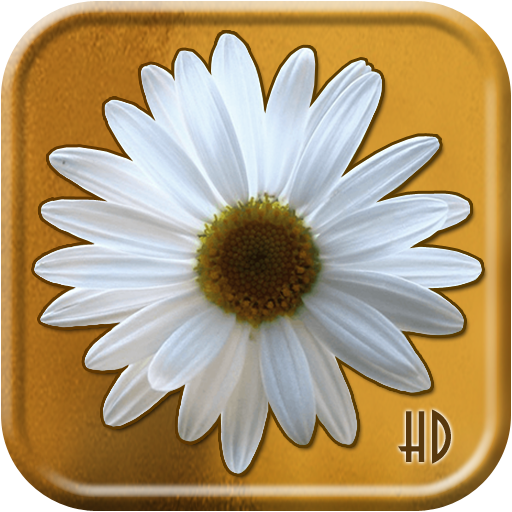 The Flower Puzzle HD