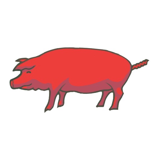 swine flu in USA icon