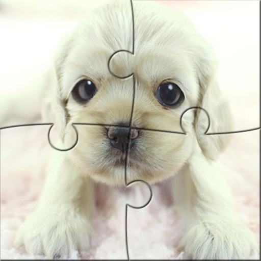 Puppy JigsawPuzzle icon