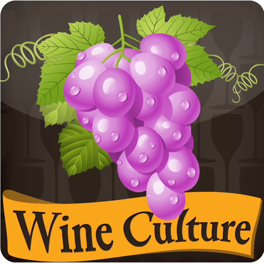 红酒文化 icon