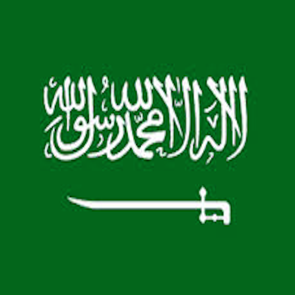 Saudi Arabia oil game 2 icon