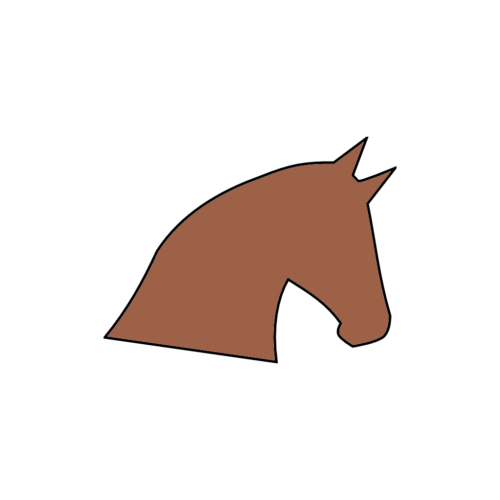 Charity Race Tote icon