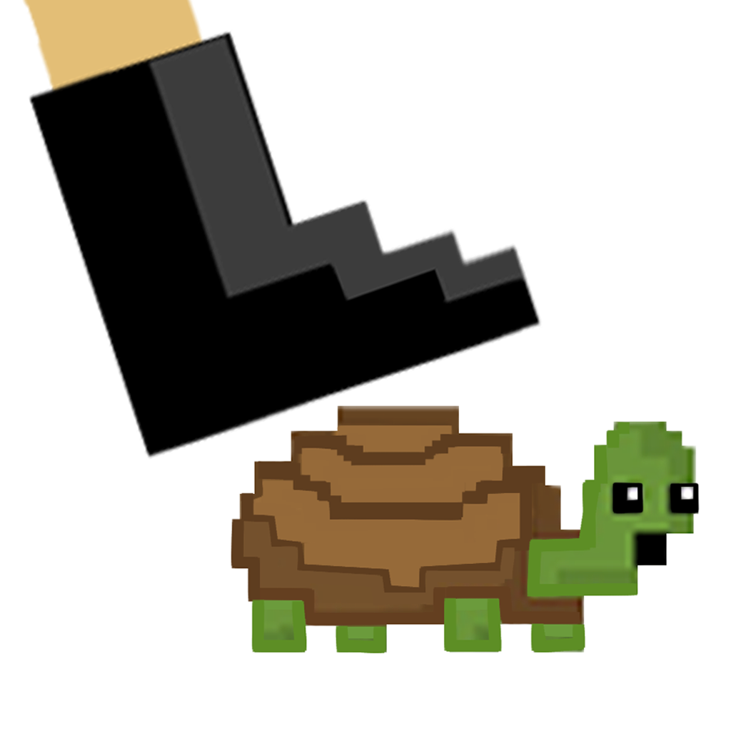 A Turtle Race icon