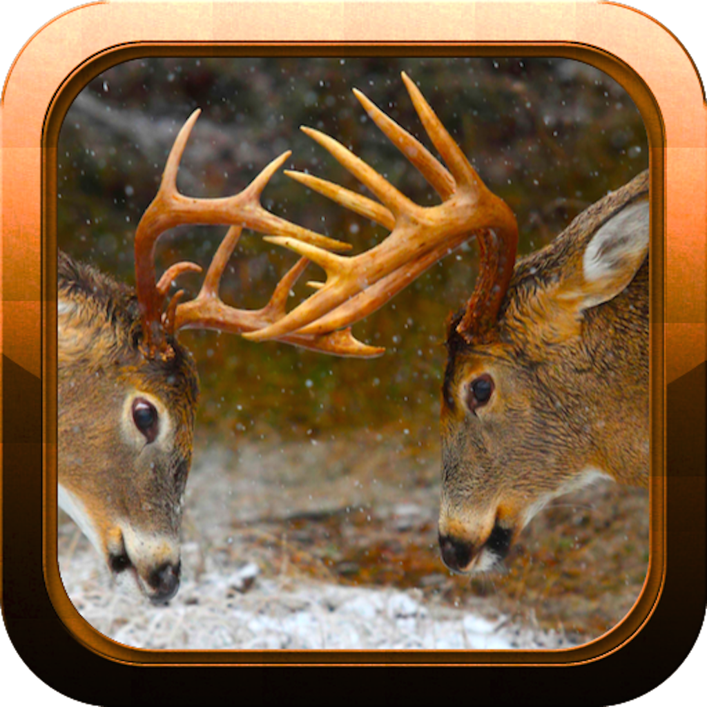 Deer Hunting: Big Trophy Hunter icon