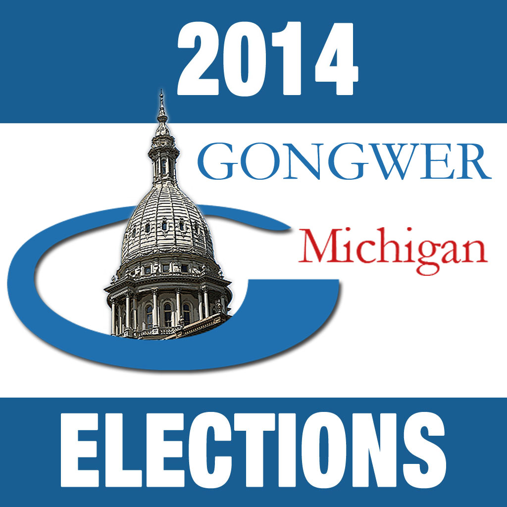 2014 Michigan Elections icon