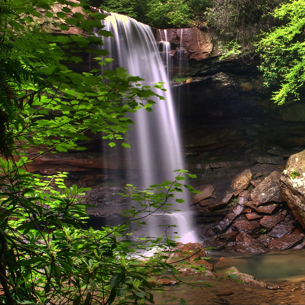 Carolina Waterfalls