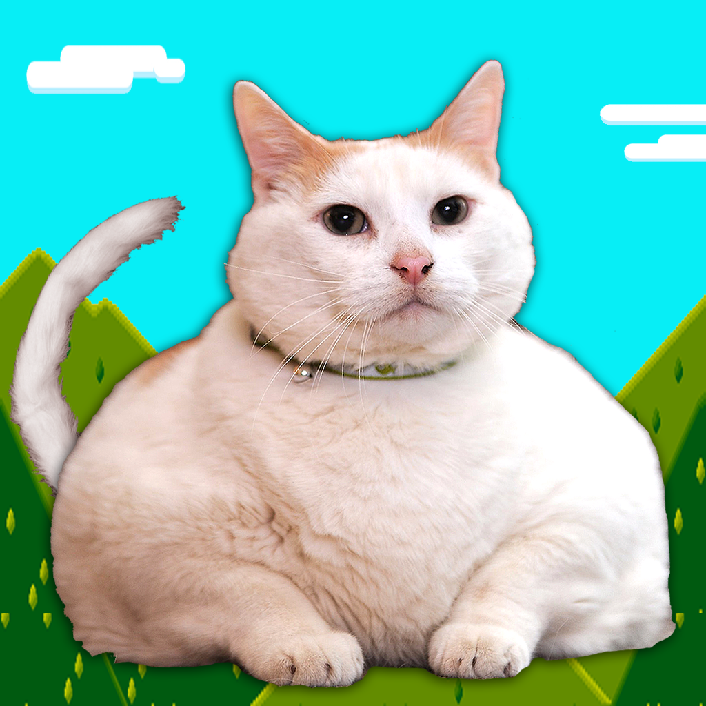 Flying Fat Cat - Flap That Tail icon