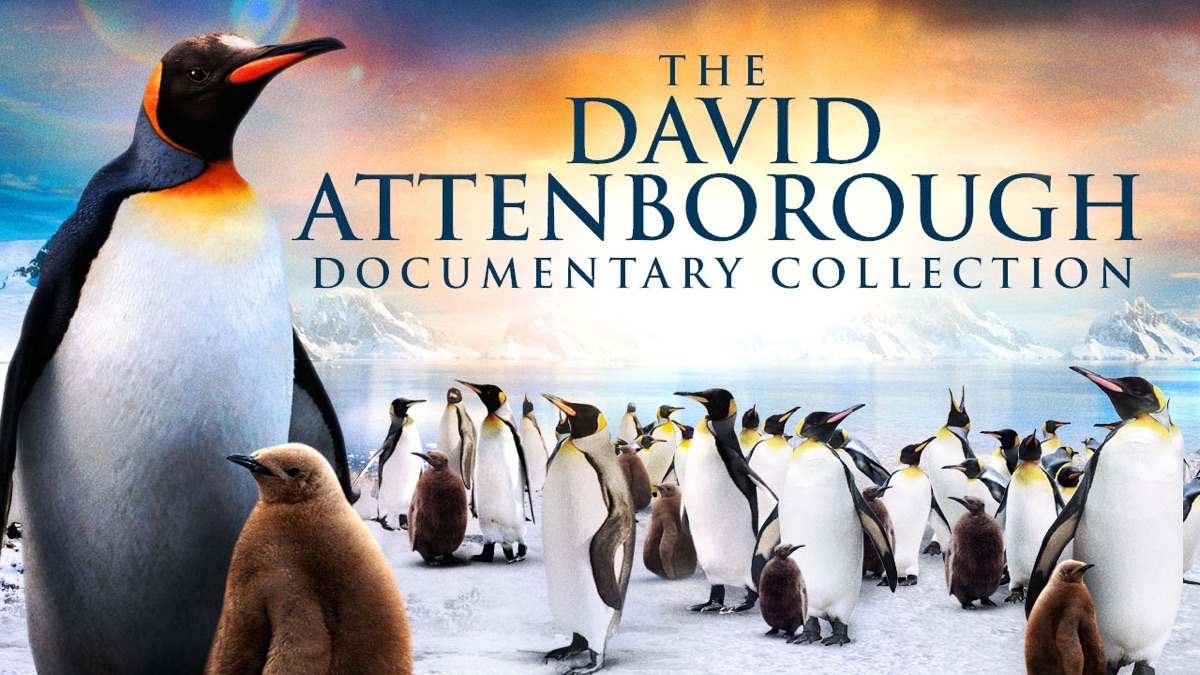 The David Attenborough Documentary Collection Apple TV (UK)