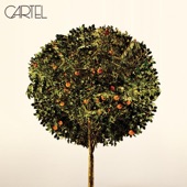Cartel - Lose It