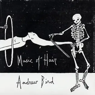 last ned album Andrew Bird - Music Of Hair