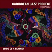 Caribbean Jazz Project - Turnabout