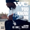 You Know Me (feat. Ice Cube & Maylay) - Single