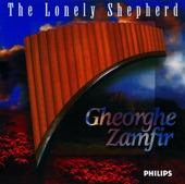 The Lonely Shepherd