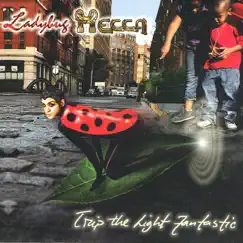 Ladybug Come Outside Song Lyrics