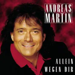 Allein wegen dir - Andreas Martin