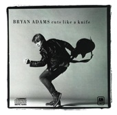 Bryan Adams - This Time