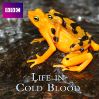 Life in Cold Blood - Life in Cold Blood, Series 1 artwork