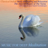 Classical Indian Music for Healing and Relaxation: The Ancient Beauty of the Veena artwork