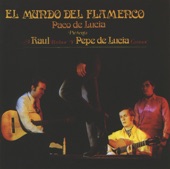 El Mundo del Flamenco