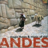 Magic Flutes & Music of the Andes artwork