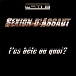 T'es Bête ou Quoi ? - Single - Sexion D'Assaut