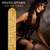 Erotic Affairs Vol. 3 - 25 Sexy Lounge Tracks for Erotic Moments