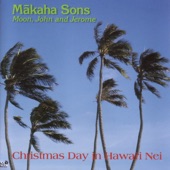 Christmas Day in Hawai'i Nei artwork