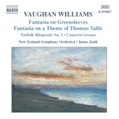 Vaughan Williams: Fantasias / Norfolk Rhapsody / In the Fen Country / Concerto Grosso artwork