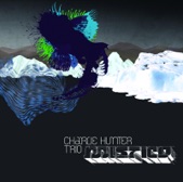 Charlie Hunter Trio - Chimp Gut