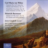 Concerto No. 1 in F Minor for Clarinet and Orchestra Op. 73: III. Rondo (Allegretto) artwork