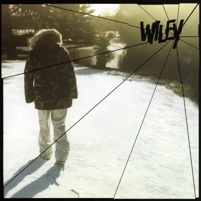 Treddin' On Thin Ice - Wiley